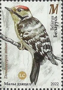 Stamp, Lesser Spotted Woodpecker (Dryobates minor), Belarus,  , Woodpeckers