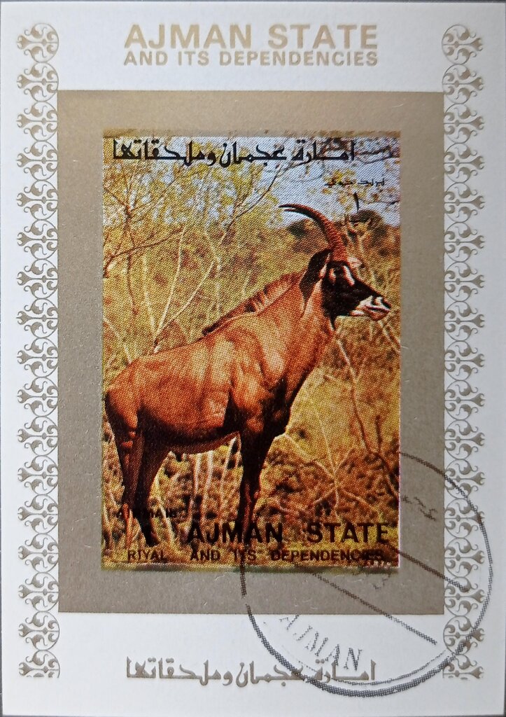 Roan Antelope (Hippotragus equinus)