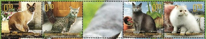 Se-tenant, Cats, Bosnia and Herzegovina, Serbian Admin,  , Animals (Fauna), Cats, Mammals