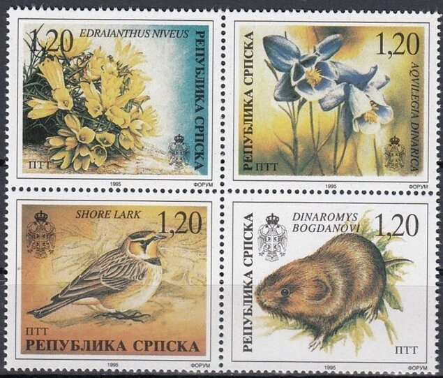 Fauna and Flora