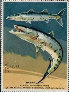 Stamp, Barracuda, Cinderellas,  , Fishes