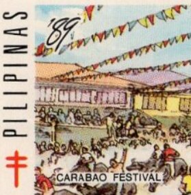 Carabao Festival