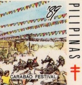 Carabao Festival