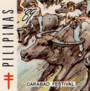 Carabao Festival