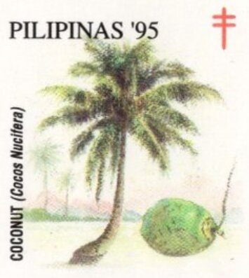Coconut