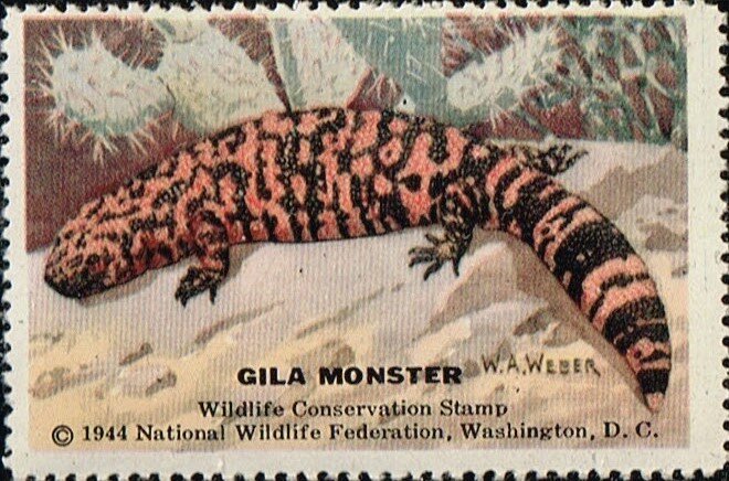 Gila Monster