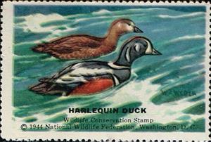 Stamp, Harlequin Duck, Cinderellas,  , Birds