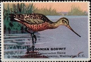 Stamp, Hudsonian Godwit, Cinderellas,  , Birds