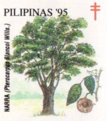 Narra
