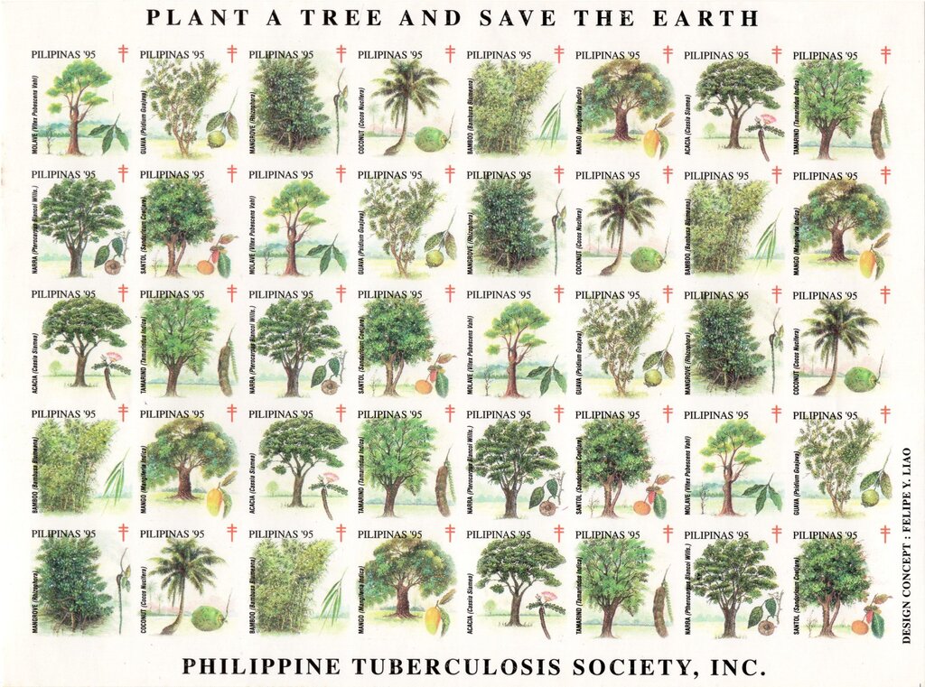 Plant a Tree and Save the Earth