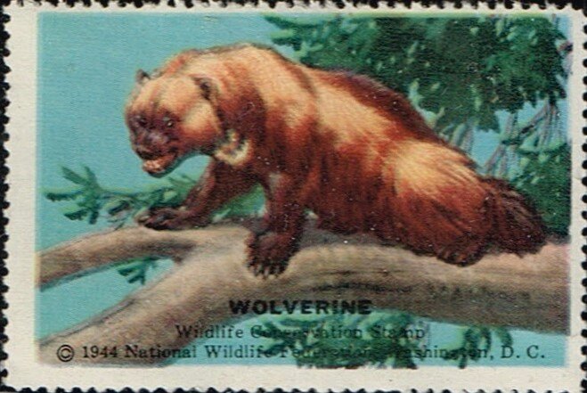 Wolverine