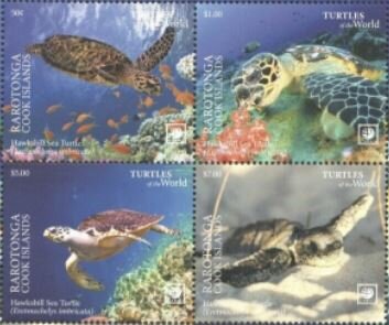Hawksbill sea turtle (Eretmochelys imbricata)