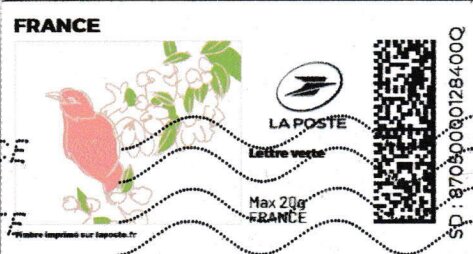 Spring. Pink Bird and White Flowers. Redesign