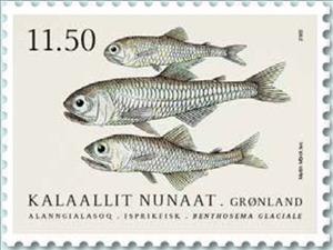Stamp, Glacier Lantern Fish (Benthosema glaciale), Greenland,  , Animals (Fauna), Fishes, Sea Life