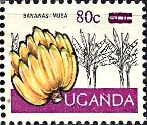 Bananas