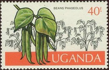 Stamp, Beans, Uganda,  , Crops, Agriculture