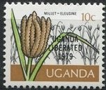 Millet