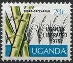 Sugar cane