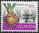 Onions