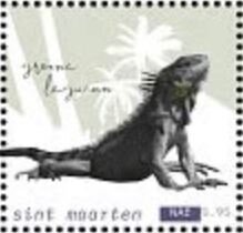 Green Iguana