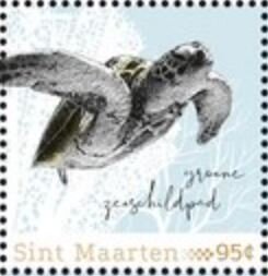 Green Sea Turtle (Chelonia mydas)