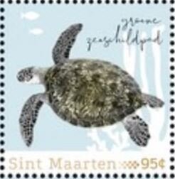 Green Sea Turtle (Chelonia mydas)