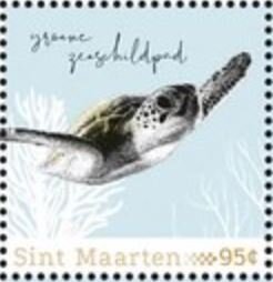 Green Sea Turtle (Chelonia mydas)