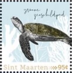 Green Sea Turtle (Chelonia mydas)