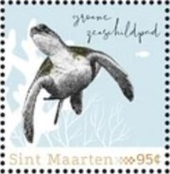 Green Sea Turtle (Chelonia mydas)