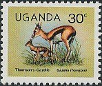 Stamp, Thomson's Gazelle (Gazella thomsoni), Uganda,  , Mammals, Animals (Fauna)
