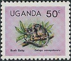 Senegal bushbaby (Galago senegalensis)