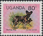 African wild dog (Lycaon pictus)
