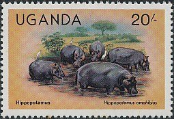 Stamp, Hippopotamus (Hippopotamus amphibius), Uganda,  , Mammals, Animals (Fauna)
