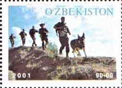 Following Search Dog