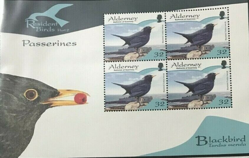 Blackbird (Turdus merula)