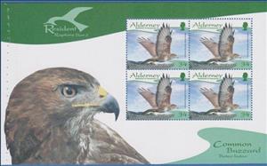 Booklet Pane, Common Buzzard (Buteo buteo), Alderney,  , Animals (Fauna), Birds, Birds of Prey