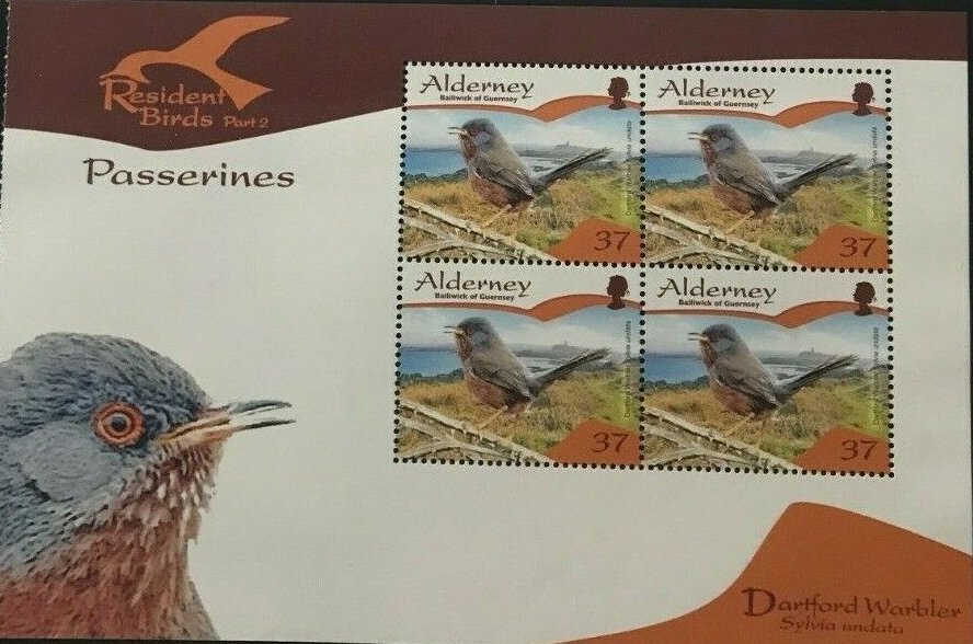 Dartford Warbler (Sylvia undata)