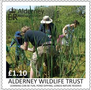 Stamp, Learning Can Be Fun : Pond Dipping, Alderney,  , Environment Protection