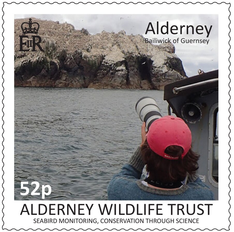 Seabird Monitoring