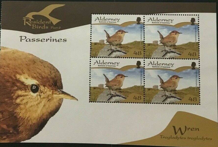 Wren (Troglodytes troglodytes)