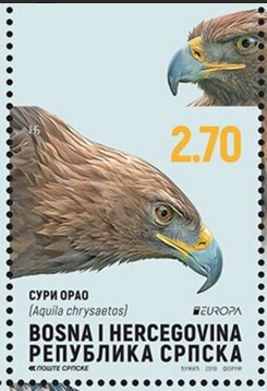 Golden Eagle