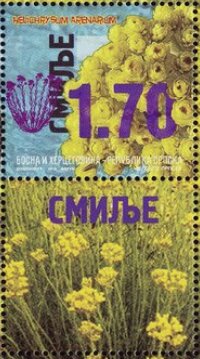 Immortelle