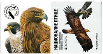 National Birds