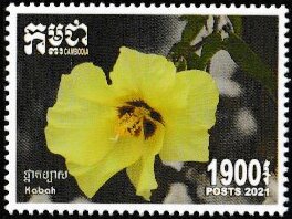 Kabah Flower