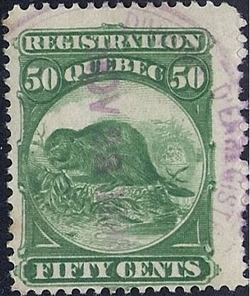 North American Beaver (Castor canadensis)