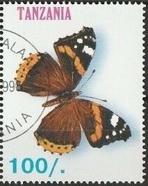 Admiral (Vanessa atalanta)