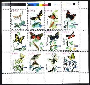 Butterflies