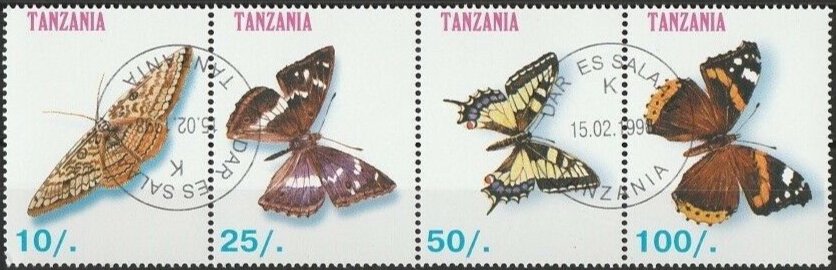 Butterflies 1