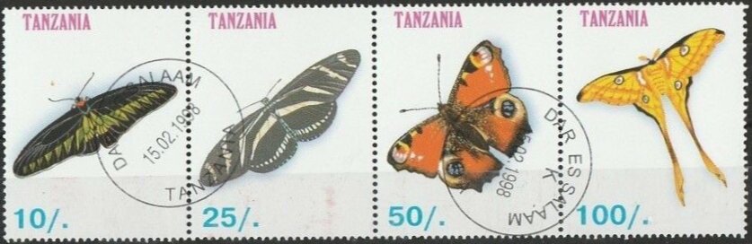 Butterflies 2