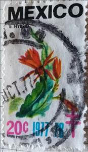 Stamp, E.Hybrid, Cinderellas,  , Flowers, Plants (Flora), Tuberculosis / TBC
